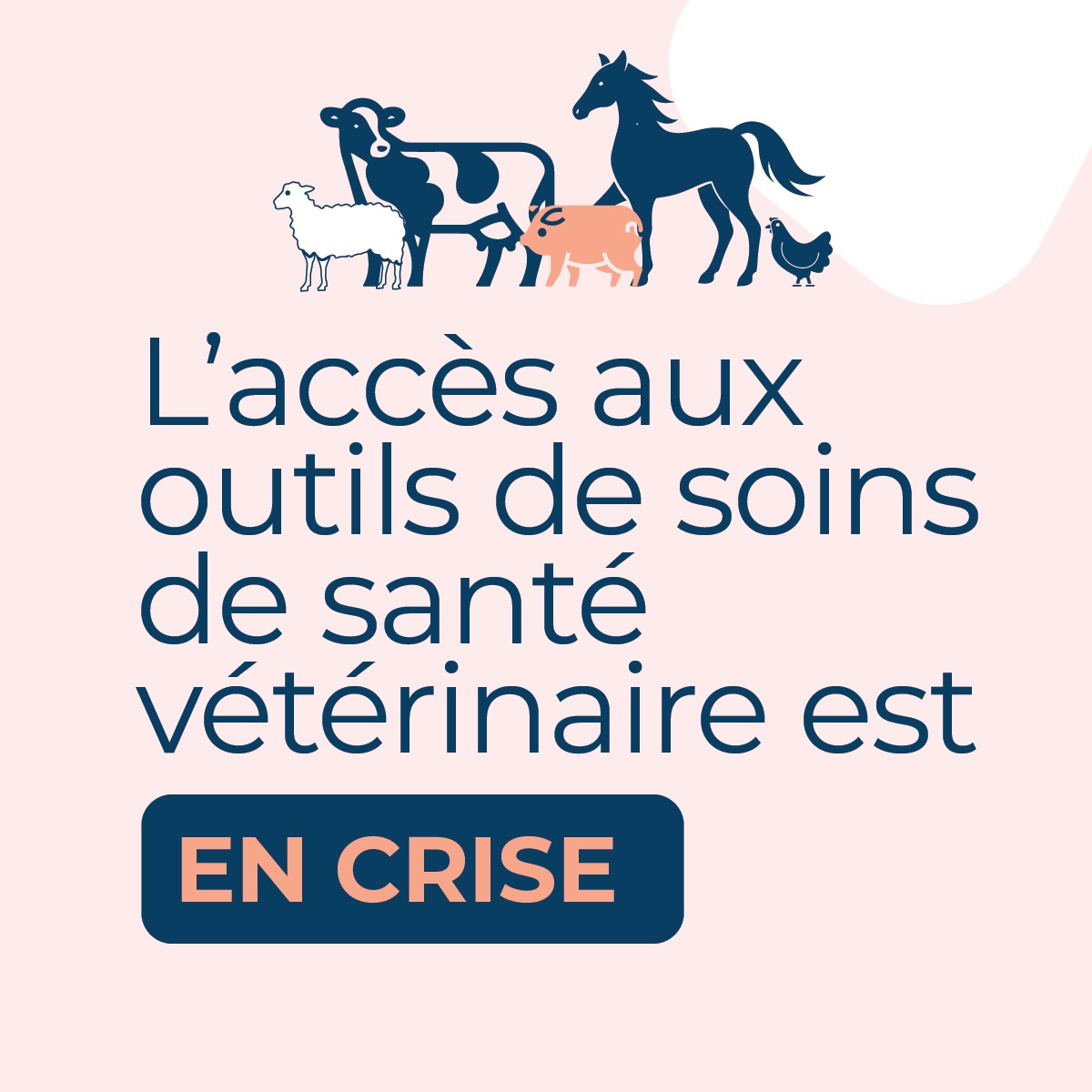 L'acces aux outils de soins de sante veterinaire est en crise