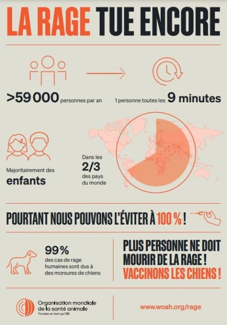 Rabies Statistics